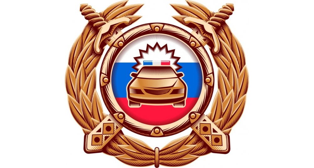 Проверка вин-кода на сайте Госавтоинспекции