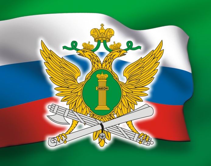 Проверка наличия запрета в службе судебных пиставов